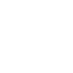 ce logo Weston