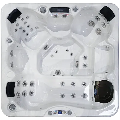 Avalon EC-849L hot tubs for sale in Weston