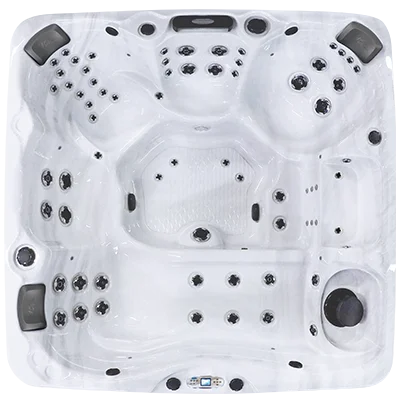 Avalon EC-867L hot tubs for sale in Weston